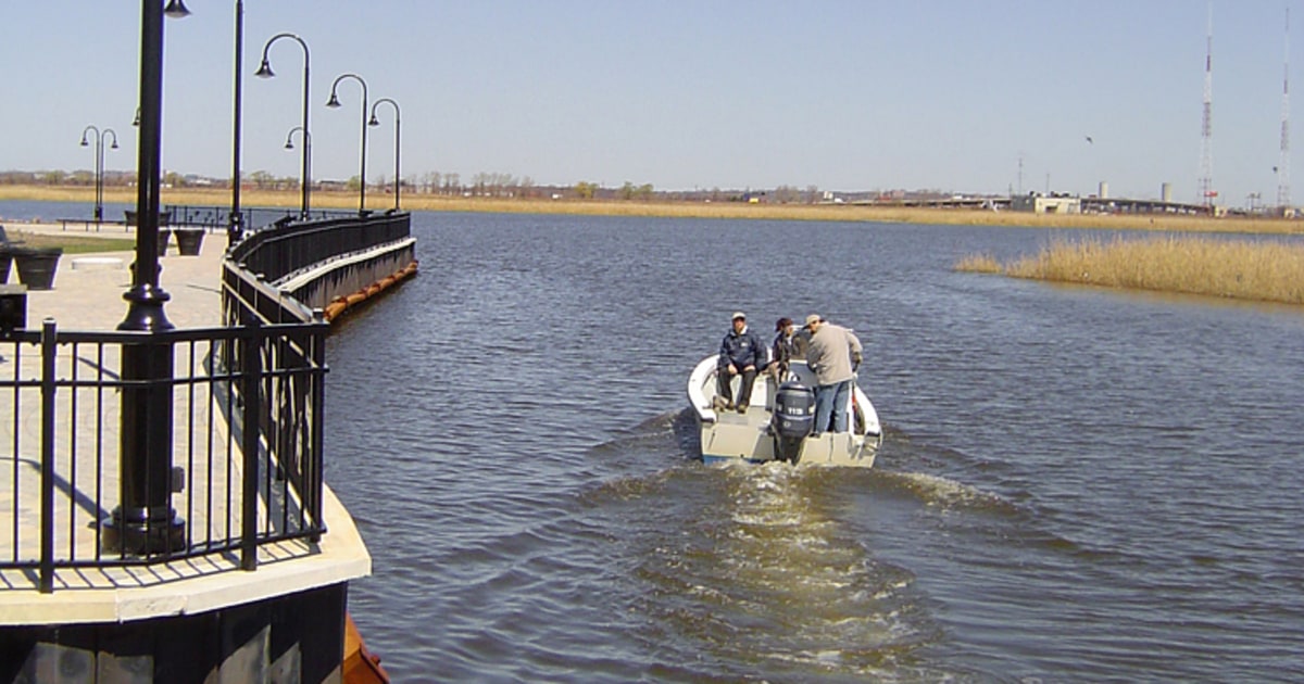 Football, swamps, landfills and tree huggers?