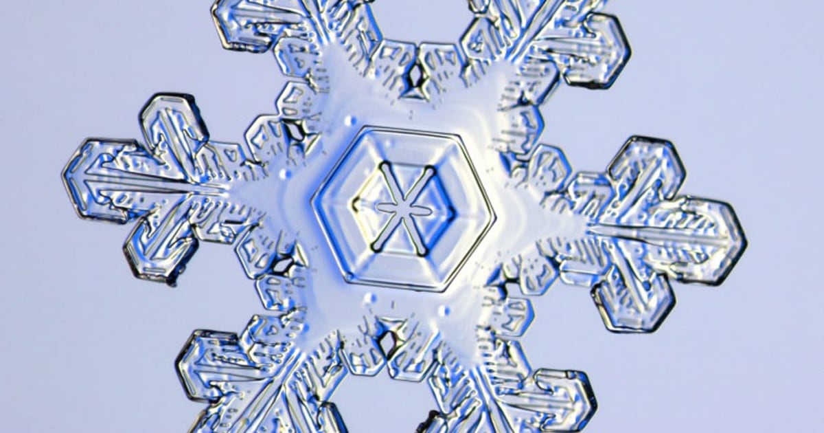 What makes a snowflake special?, News