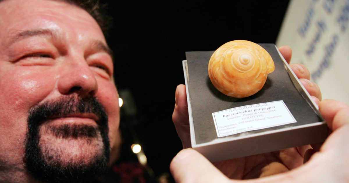 New mollusk species found in Philippines