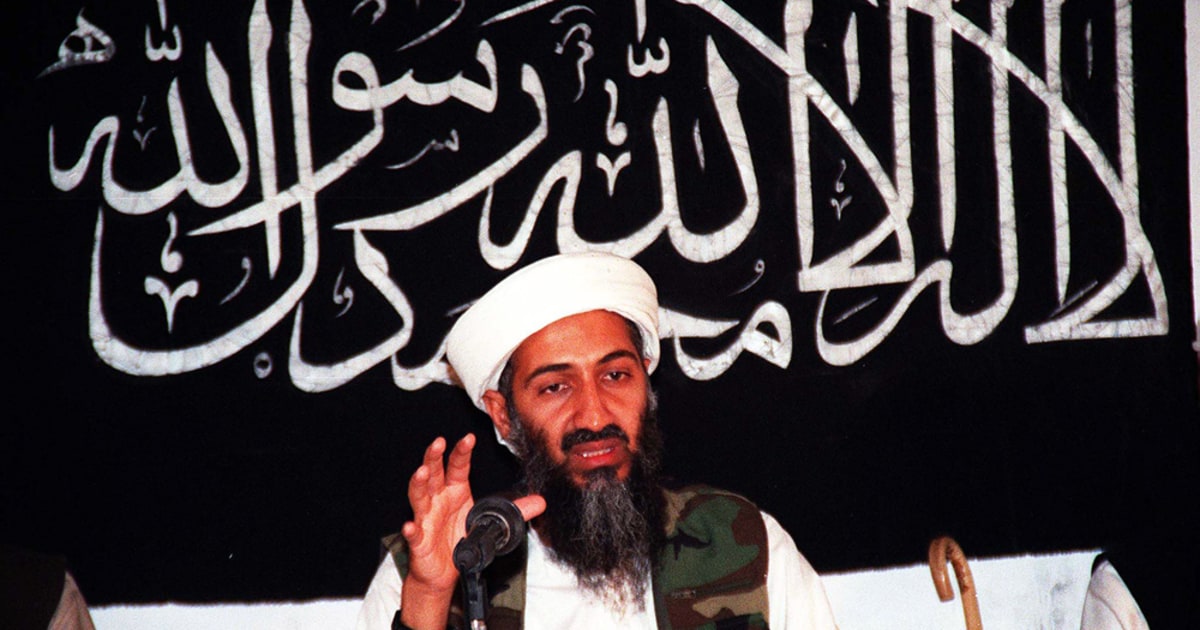 The long reach and ambitions of al-Qaida