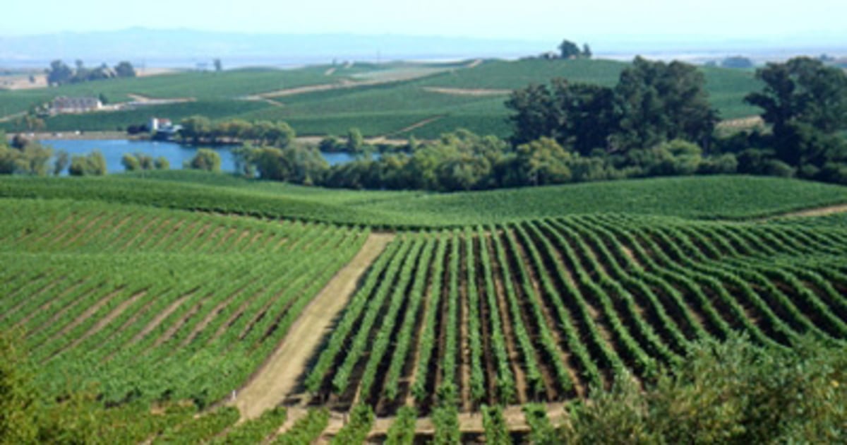 10 best wine vacations in the world