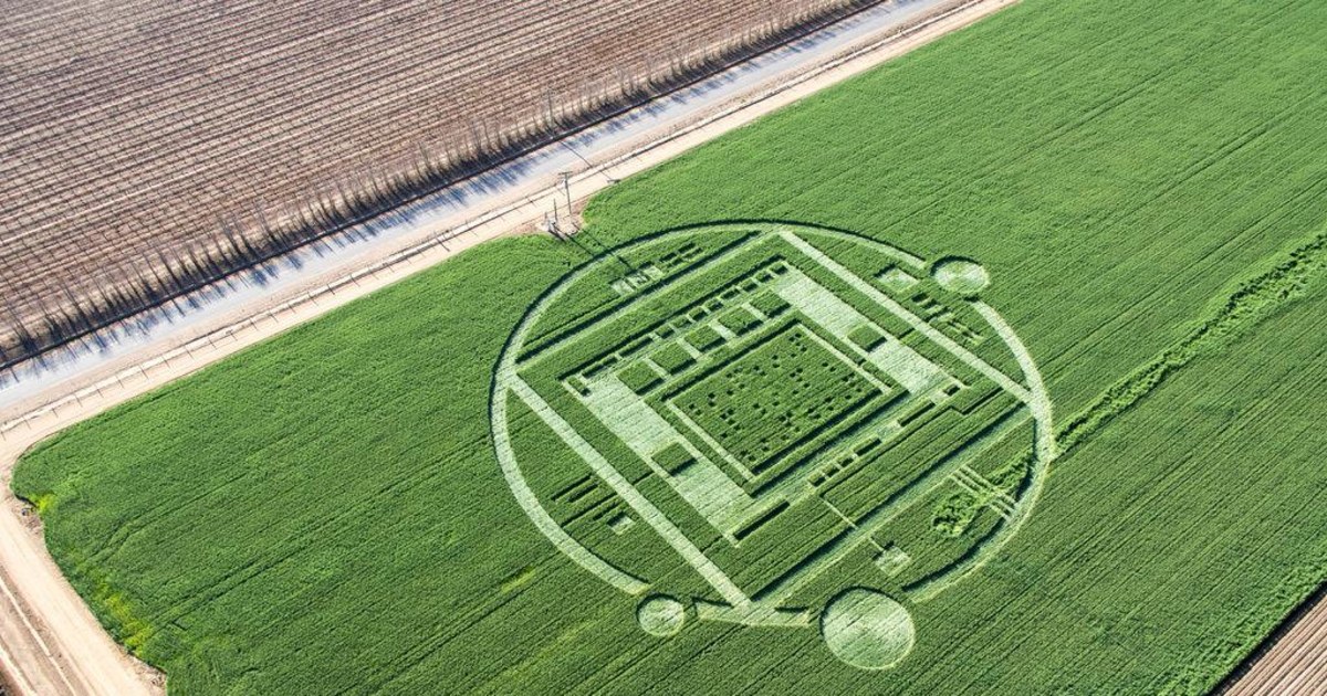 Alien Or YouTubian Intricate Crop Circle Appears In California   131230 Crop Circles Hmed 728p 