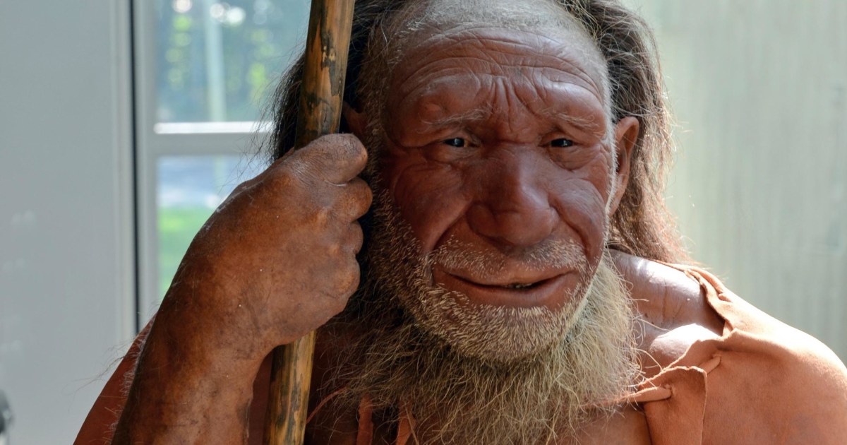 Which Parts of Us Are Neanderthal? Genes Point to Skin and Hair