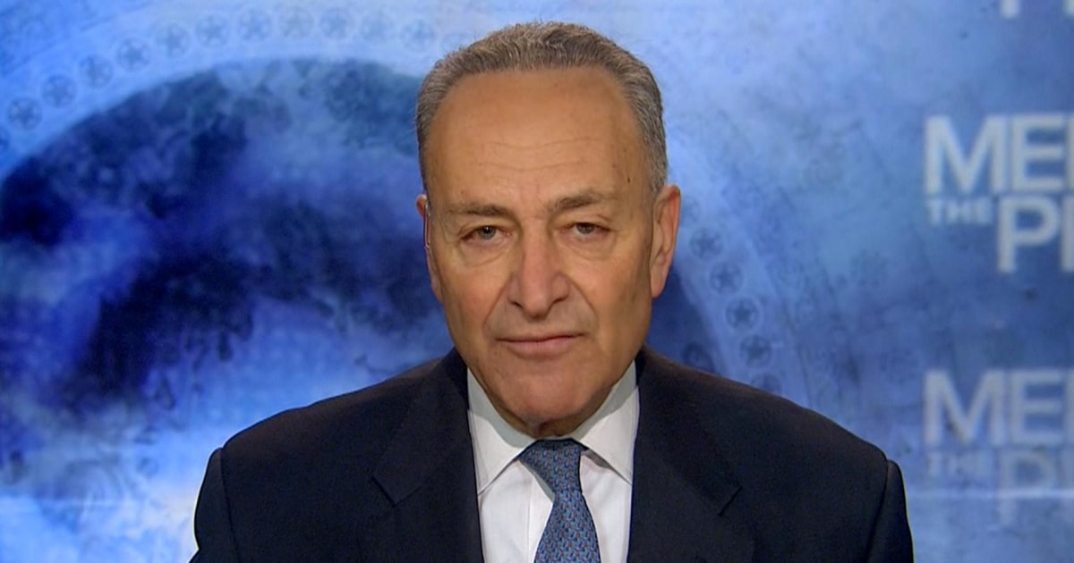 Schumer Suggests Compromise on Immigration
