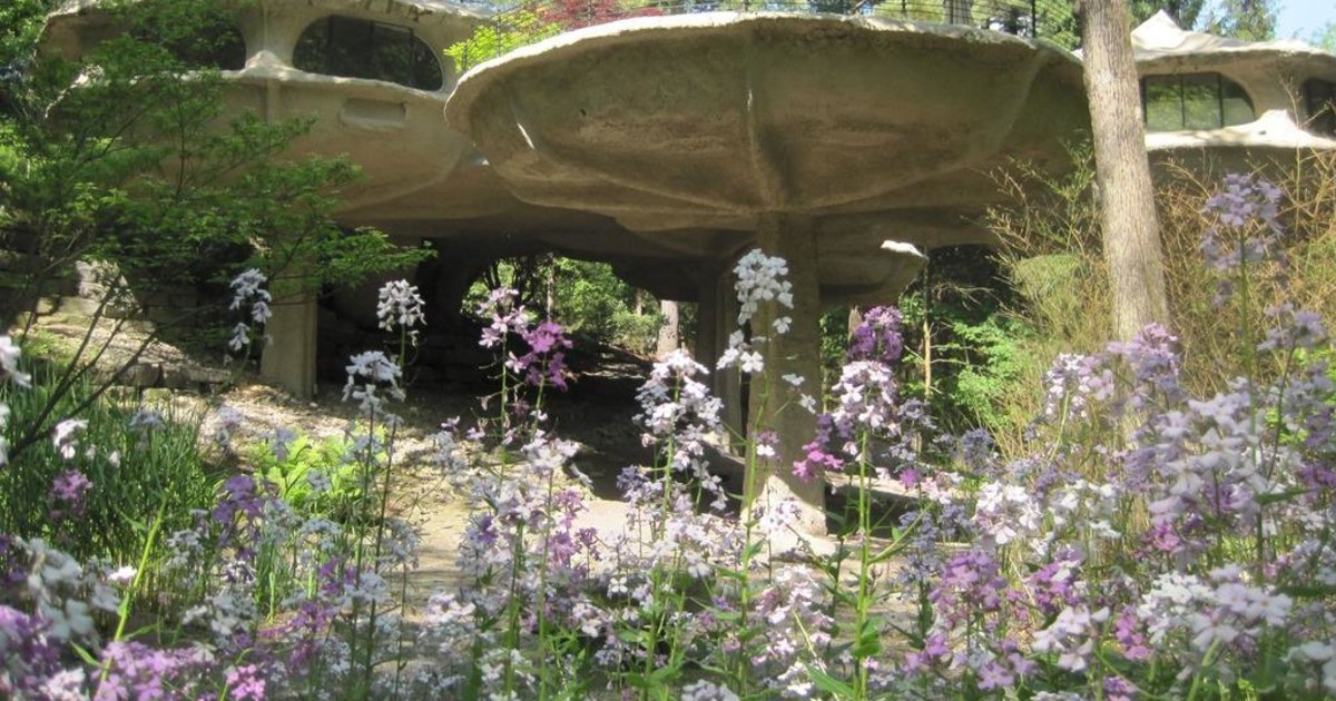 Listing of the Week Art Blooms in Mushroom House