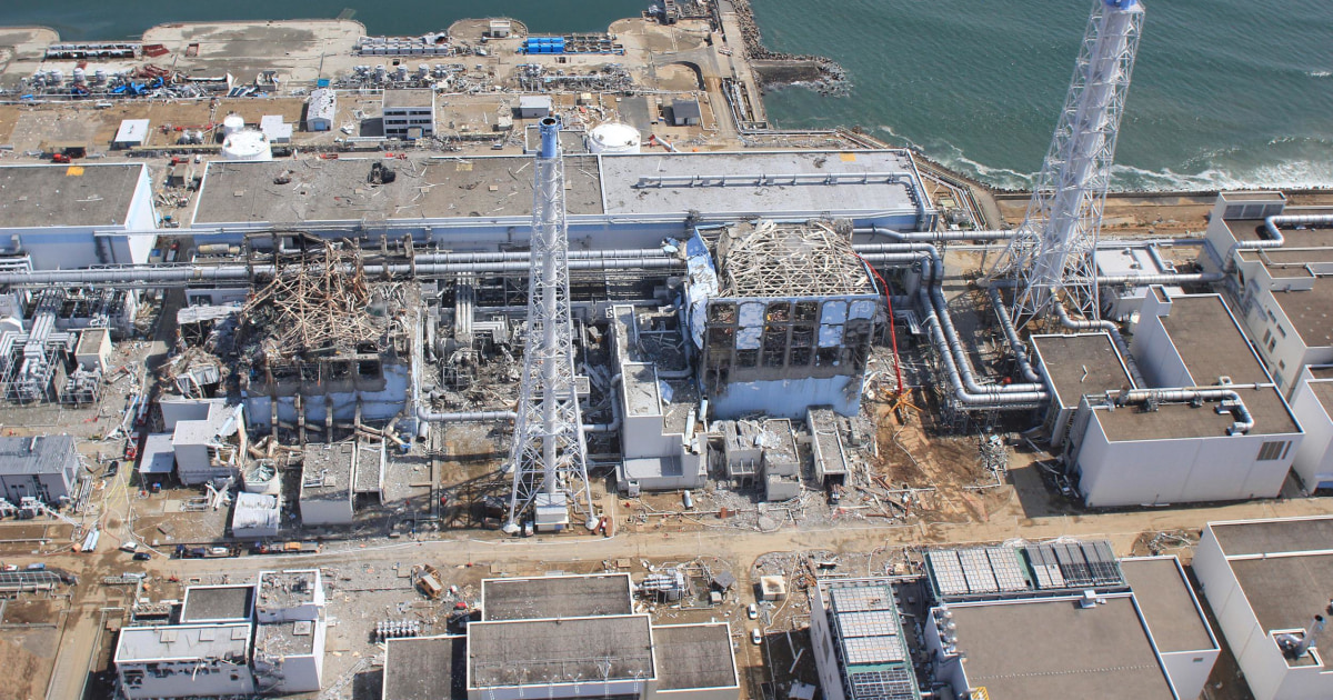 Experts Say Nuclear Industry Should Plan for Another Fukushima