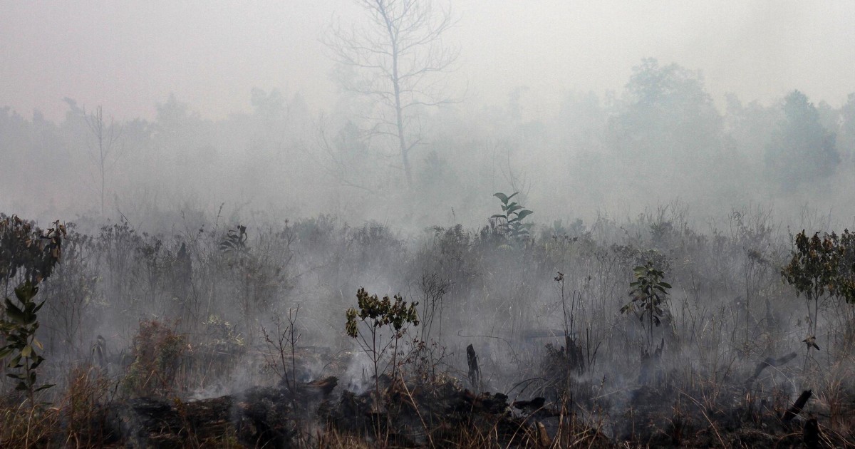 Too Apocalyptic? Experts Weigh Impact of Climate Risk Report