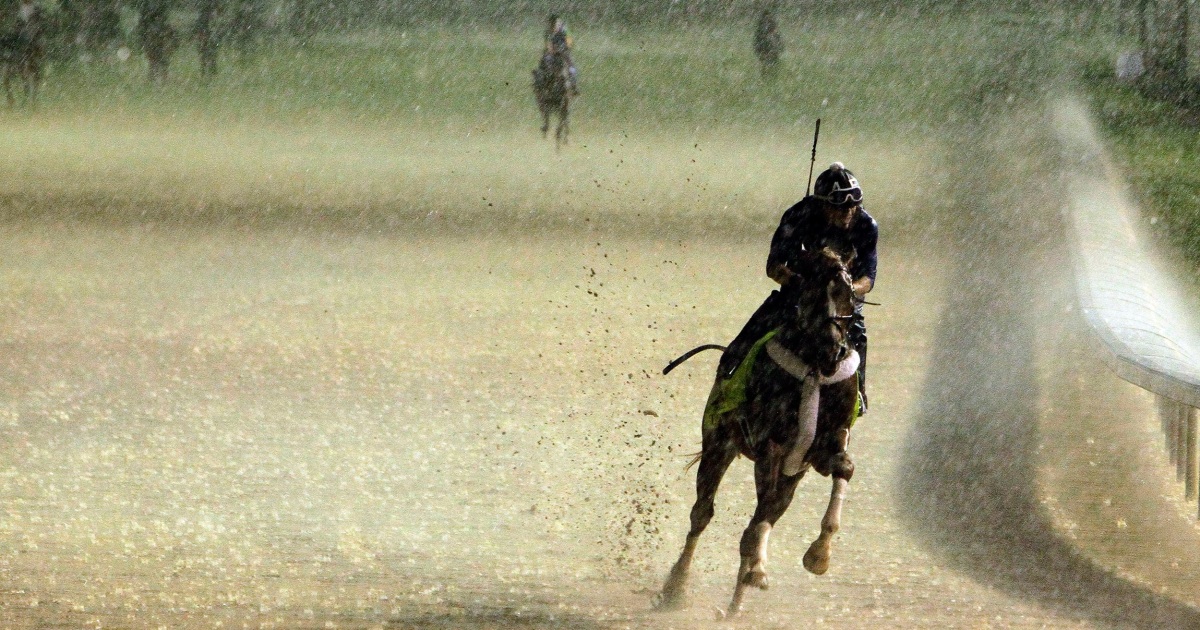 Kentucky Derby Hopeful Gets a Drenching