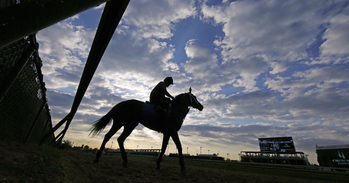 Morning Workout Racehorse Prepares on Kentucky Derby Day