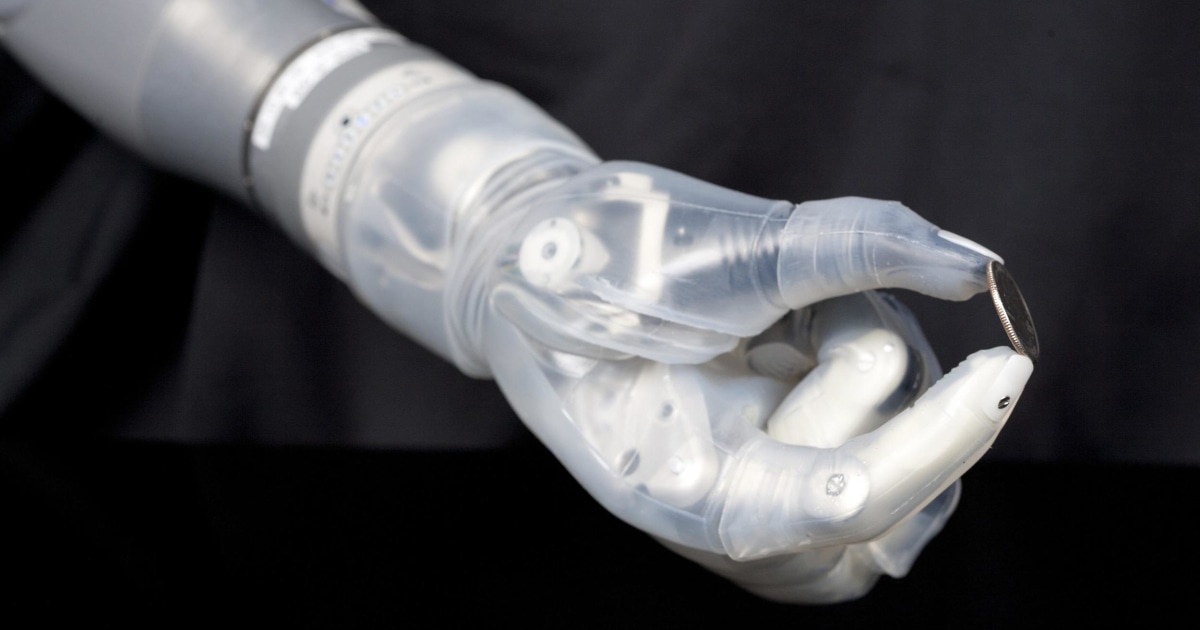 deka robotic arm