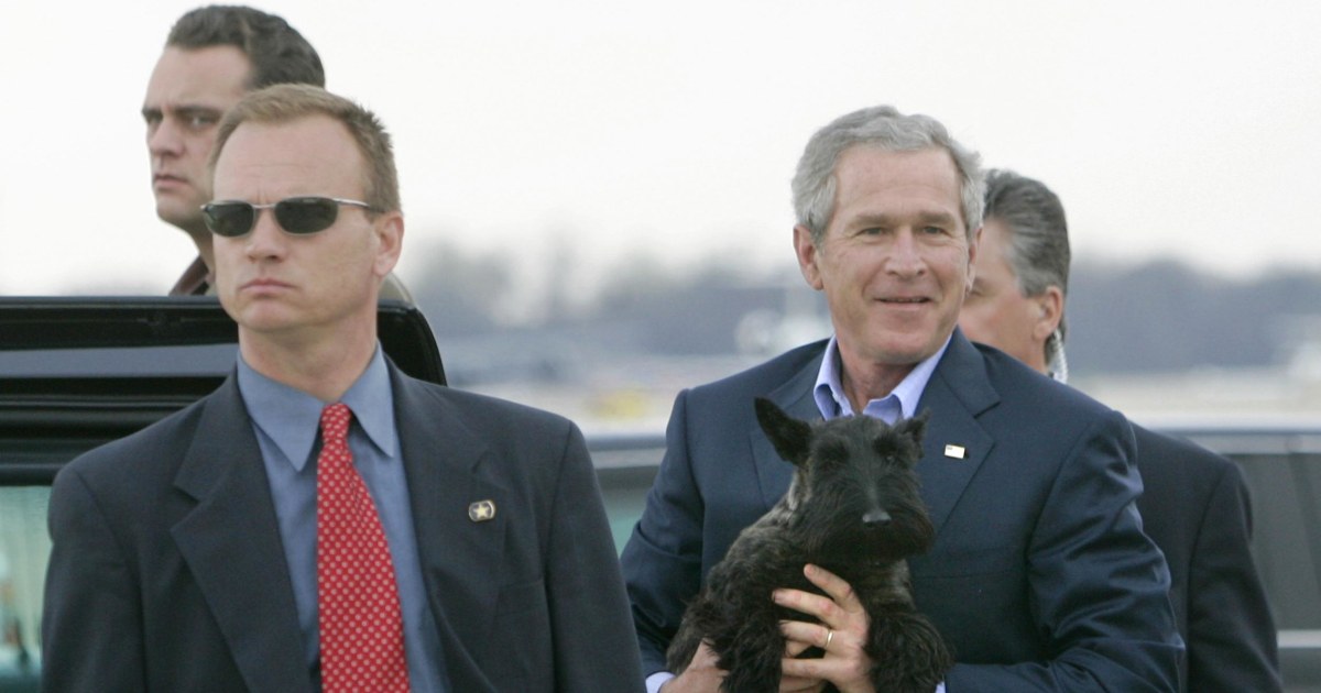 Bush Family Dog, Miss Beazley, Dies After Lymphoma Battle