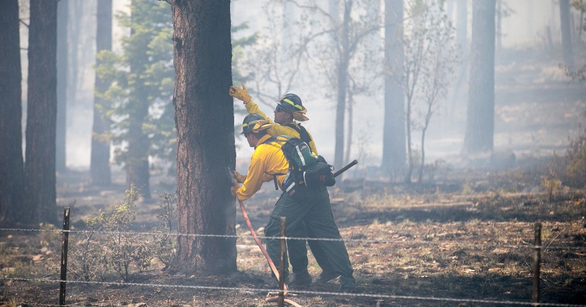 Arizona Wildfire Grows Along Highway Between Sedona, Flagstaff