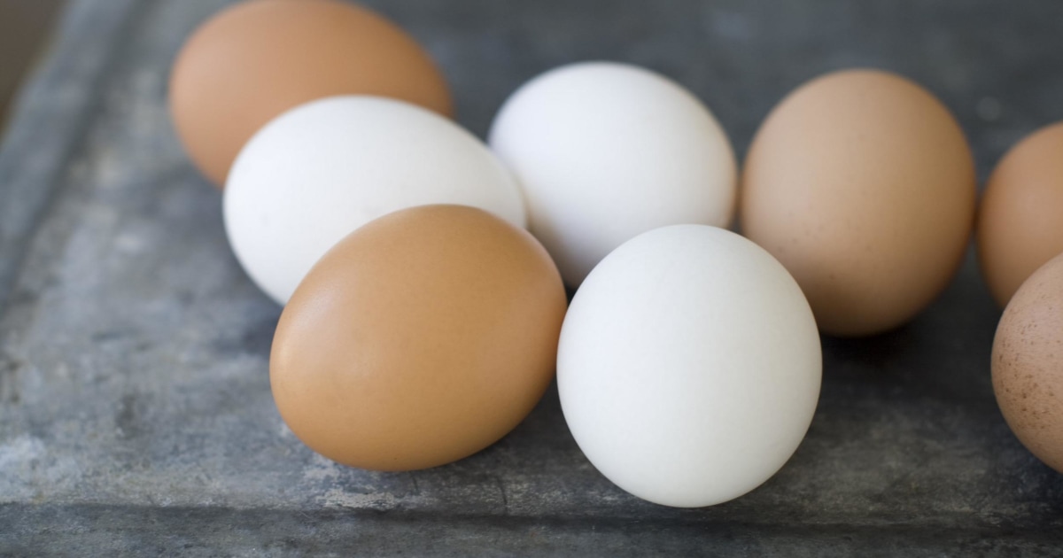 Rotten Eggs Yield 6.8 Million Fine for Iowa Company