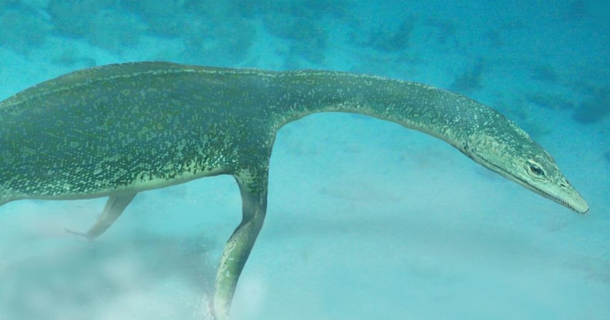 ScienceShot: Long-Nosed Dino Was No Fluke, Science