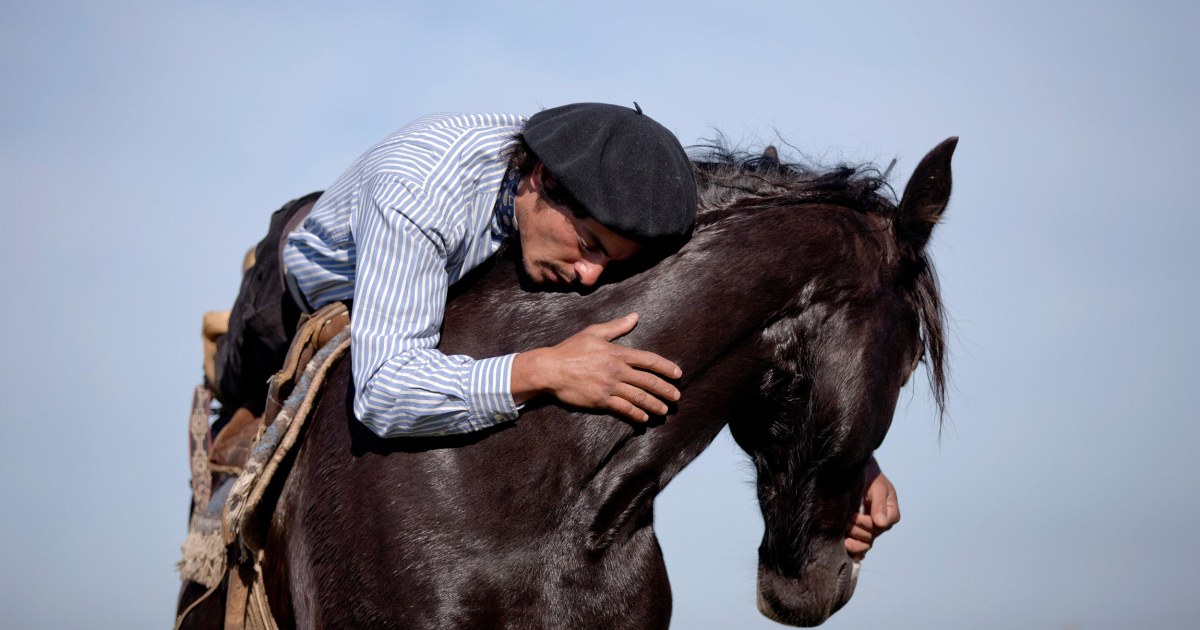 horse-whisperer-shares-magical-bond-with-animals