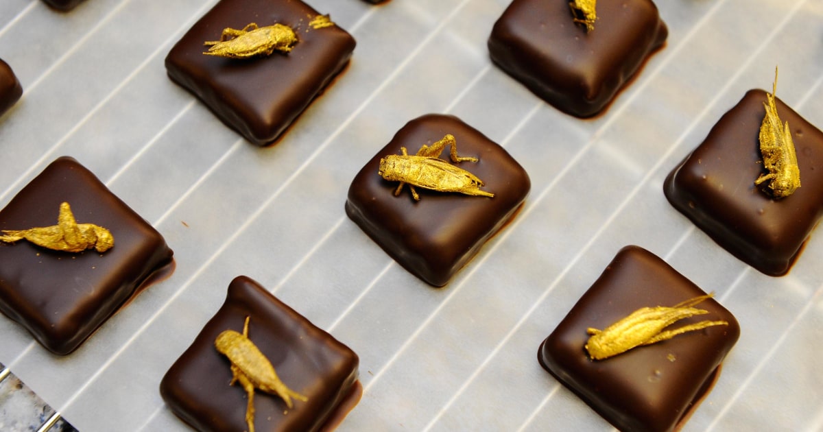 Crickets Food of the Future?