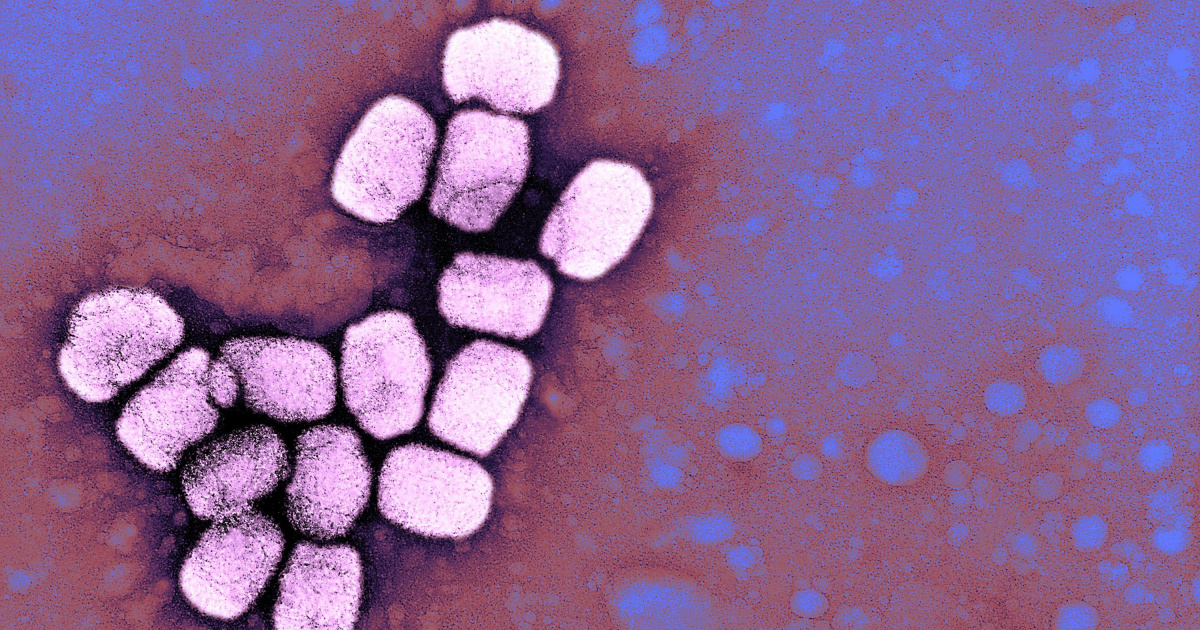 Smallpox Vials Discovered in Lab Storage Room, CDC Says