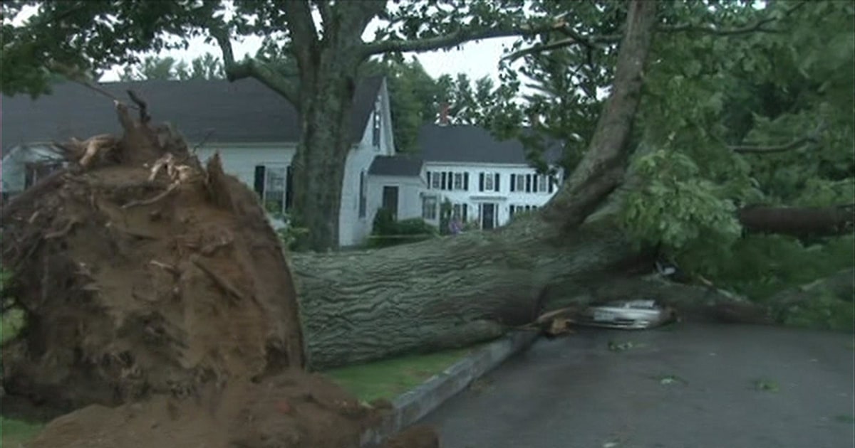 Storm Blows Over Massive Trees in Maine