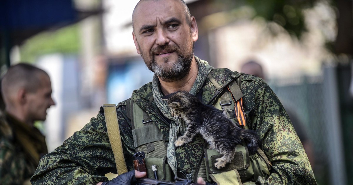 Pro Russian Separatist Stands Guard With Furry Friend   Pc 140722 Kitten Pro Russian 1712 