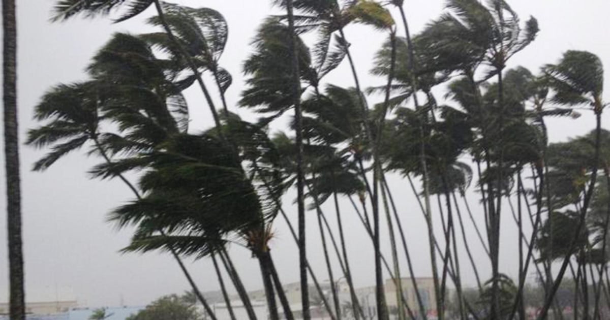 Tropical Storm Iselle Makes Historic Landfall in Hawaii