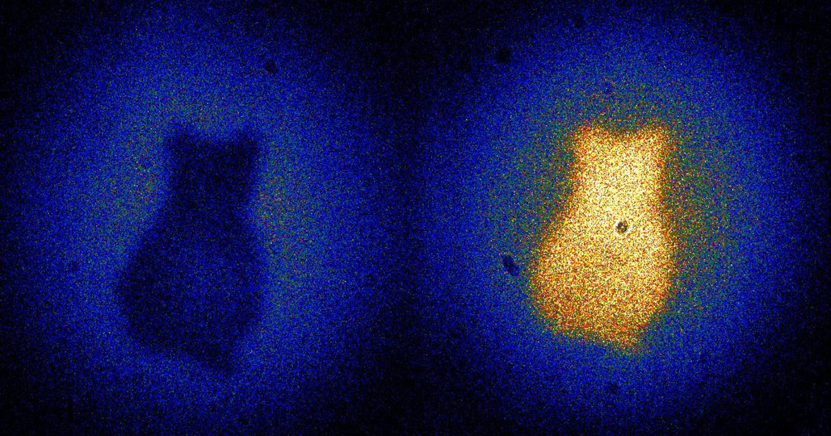 ゲートルーラーSchrödinger, theCat Out of theBox How Schrodinger's Cat Escaped the Box, (Paperback