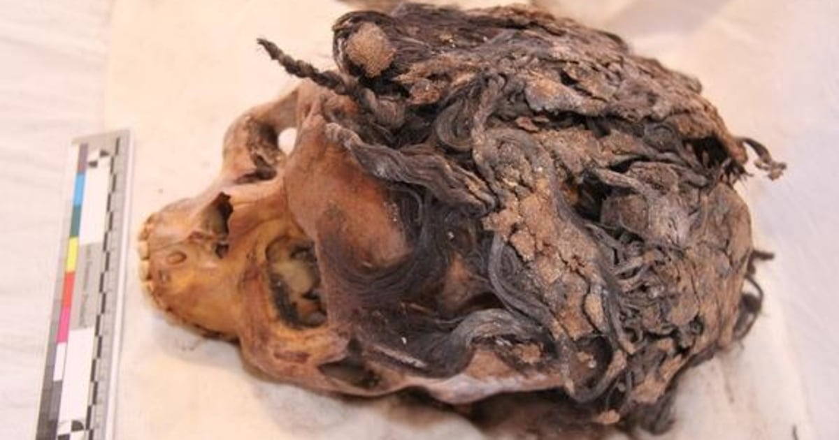 This Ancient Egyptian Woman Wore 70 Hair Extensions