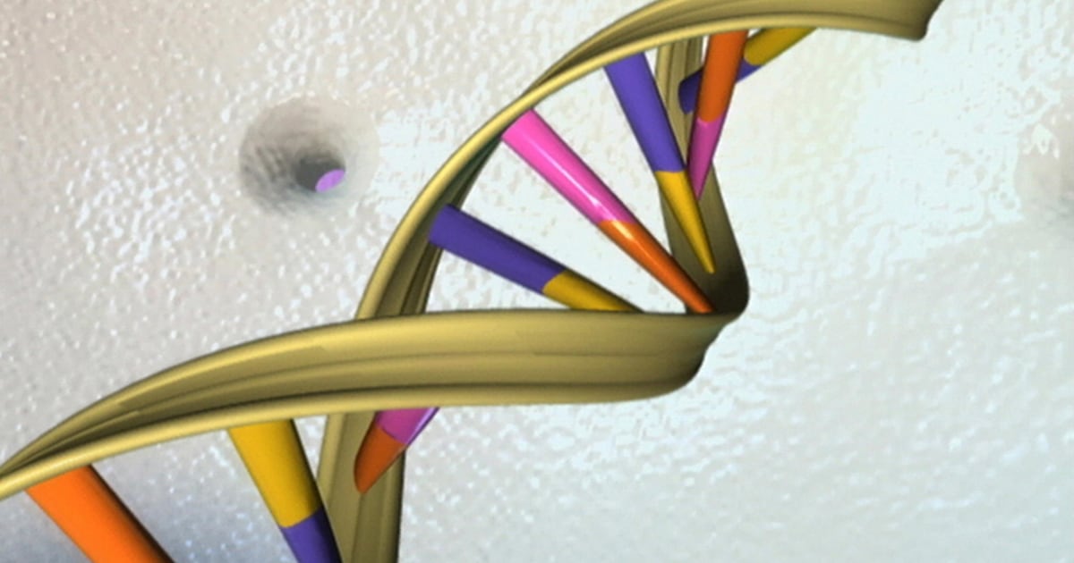 Google Teams Up to Put Cancer Genome Research Up in the Cloud