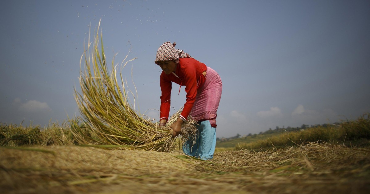 Hungry Planet: Can Big Data Help Feed 9 Billion Humans?