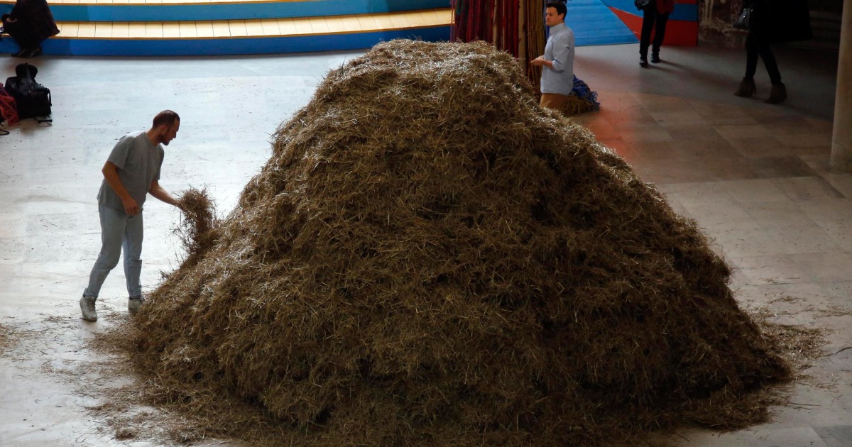 this-artist-is-looking-for-a-needle-in-a-haystack-literally