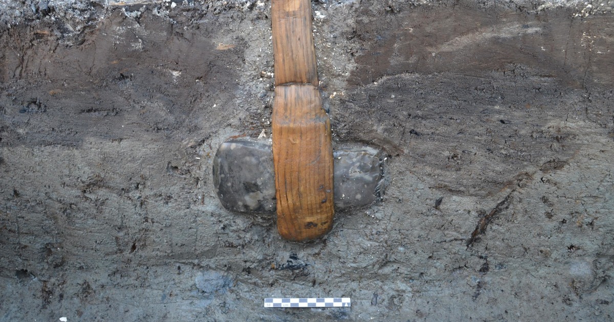 Wooden Handle Found Intact on 5,500-Year-Old Stone Ax