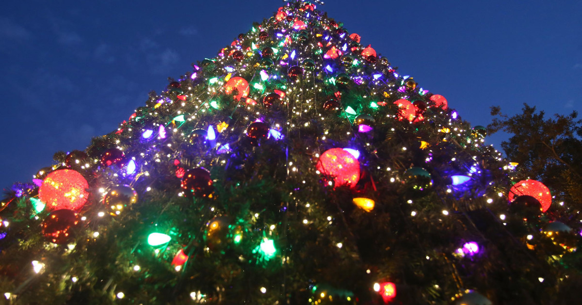 How Can I Make My Christmas Tree Last?