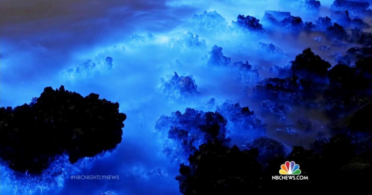Why the Beautiful Glow in Hong Kong's Waters Is Dangerous