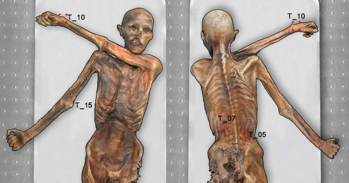 Body Art: Otzi the 5,300-Year-Old Mummified Iceman Had 61 Tattoos
