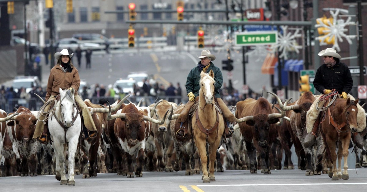 Beef Prices Expected to Head Lower Thanks to Growing Herds