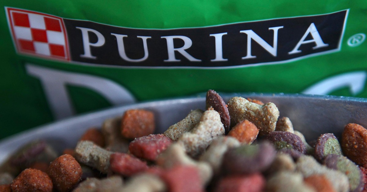 Lawsuit Claims Purina's Beneful Dog Food Is Poisoning, Killing Dogs