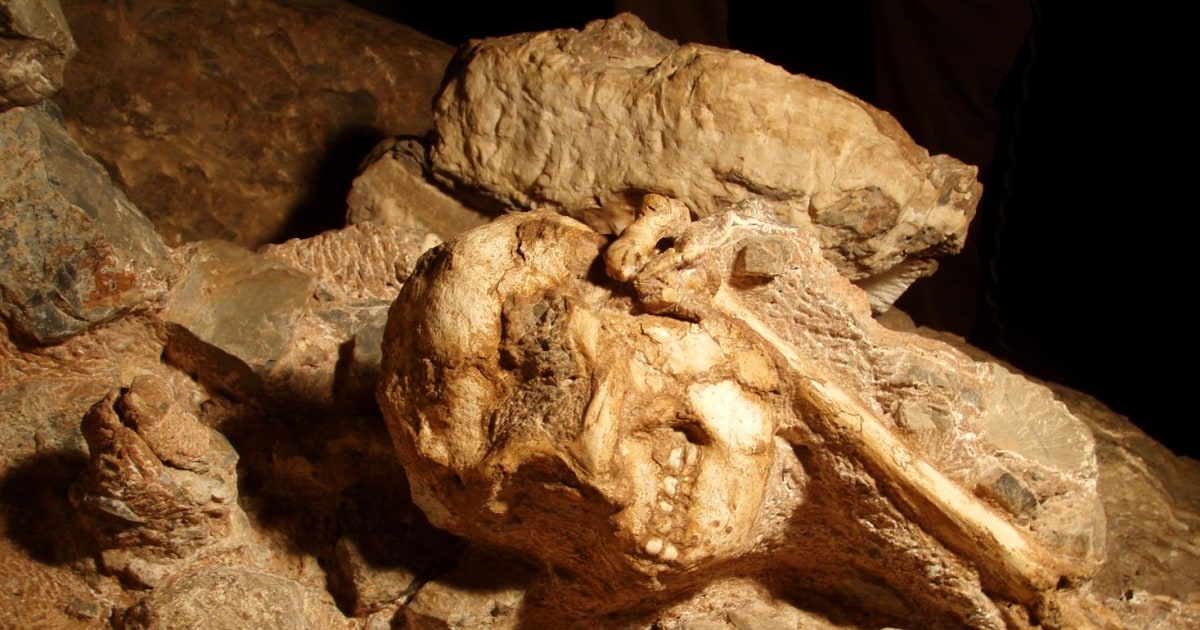 Little Foot and Lucy: Two Pre-Human Species Co-Existed, Scientists Say