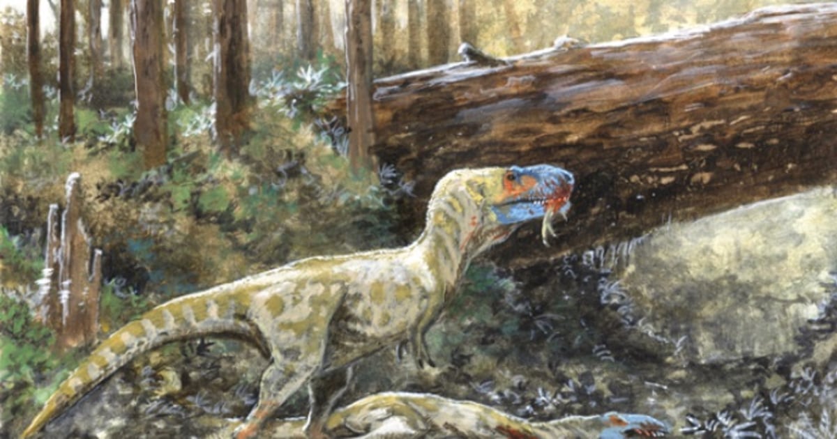 Tyrannosaur Skull Reveals Signs of Fierce Cannibal Battle