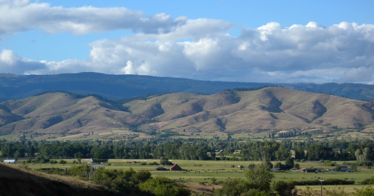 Teacher Sues Oregon School District for Traumatic ActiveShooter Drill