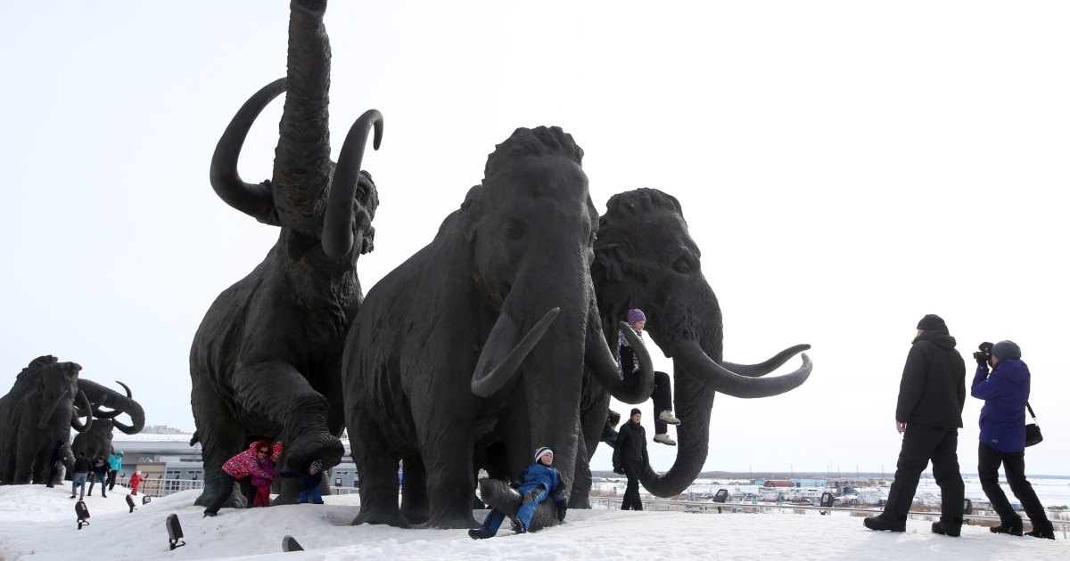 Clone a Mammoth? Could Aid Species, But Not in a SciFi Way