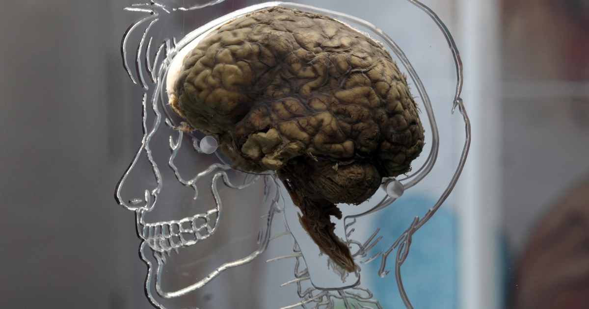 Scientists Create 'Ghosts' in the Lab by Tricking the Brain
