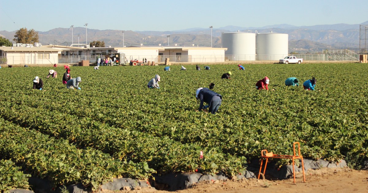 EPA decision settles the dust: No new air regulations for farmers