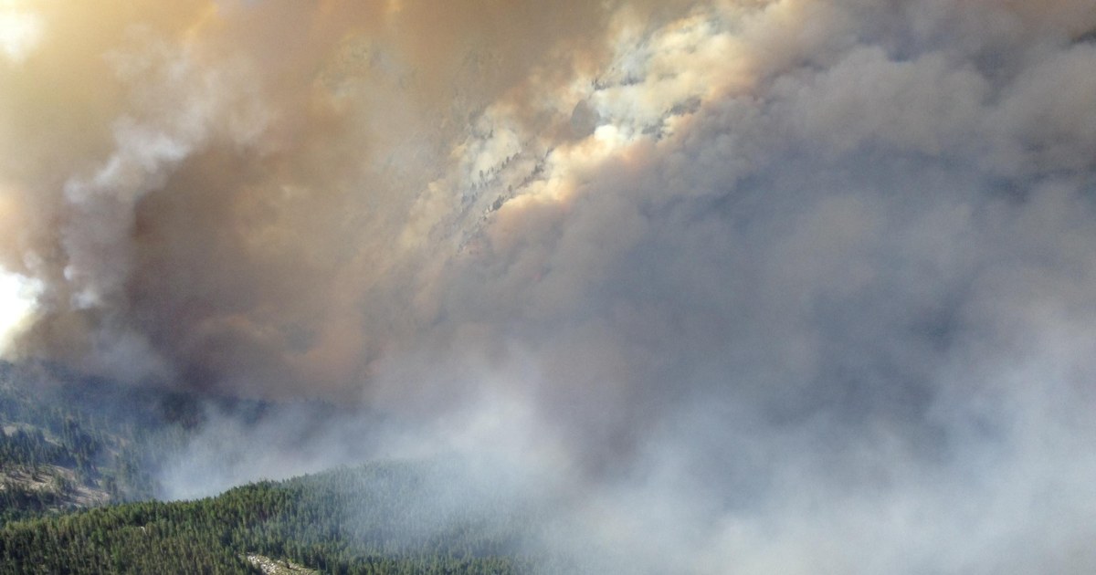 Forest Service Idaho Work To Boost Logging On Federal Land   150818 Weather Jhc.JPG