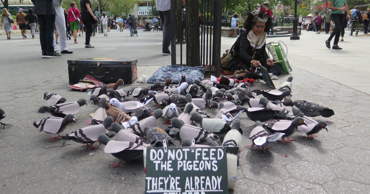 Think Pigeons Are A Nuisance Meet New York City S Pigeon Whisperer