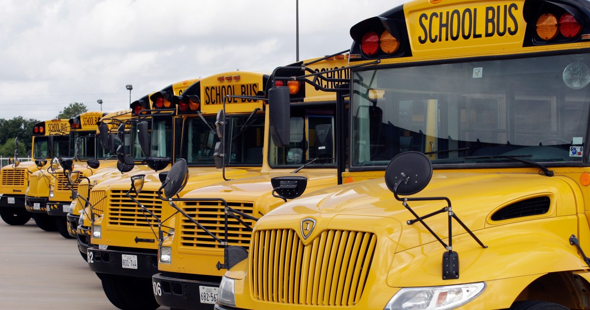 Car Safety Chief Backs Seat Belts on School Buses