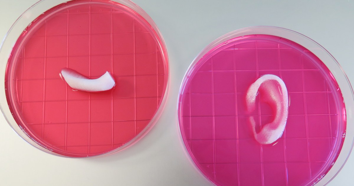 Wake Forest University Scientists Print Living Body Parts