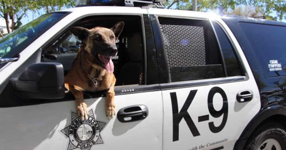 Heroic Las Vegas K9 Officer Nicky Shot And Killed In Line Of Duty 