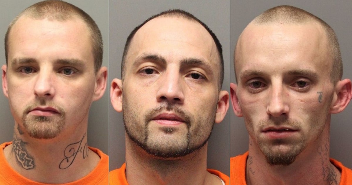 Three Escaped South Carolina Inmates Flee Into Swamp After Chase