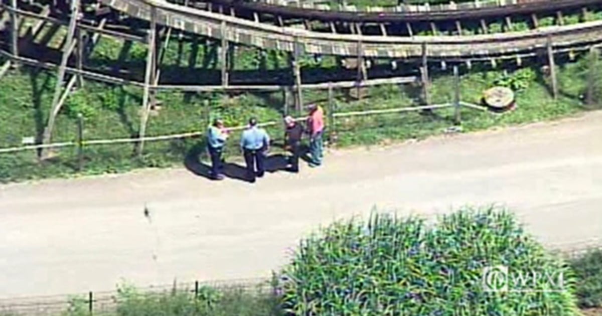 Boy Falls Off Roller Coaster at Idlewild Theme Park Rushed to