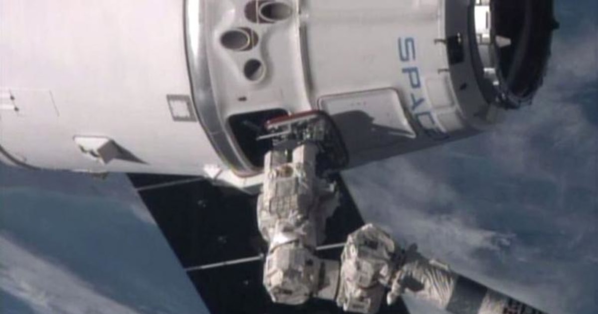 Splashdown! Space Mice Hitch a Ride Back to Earth on SpaceX Dragon