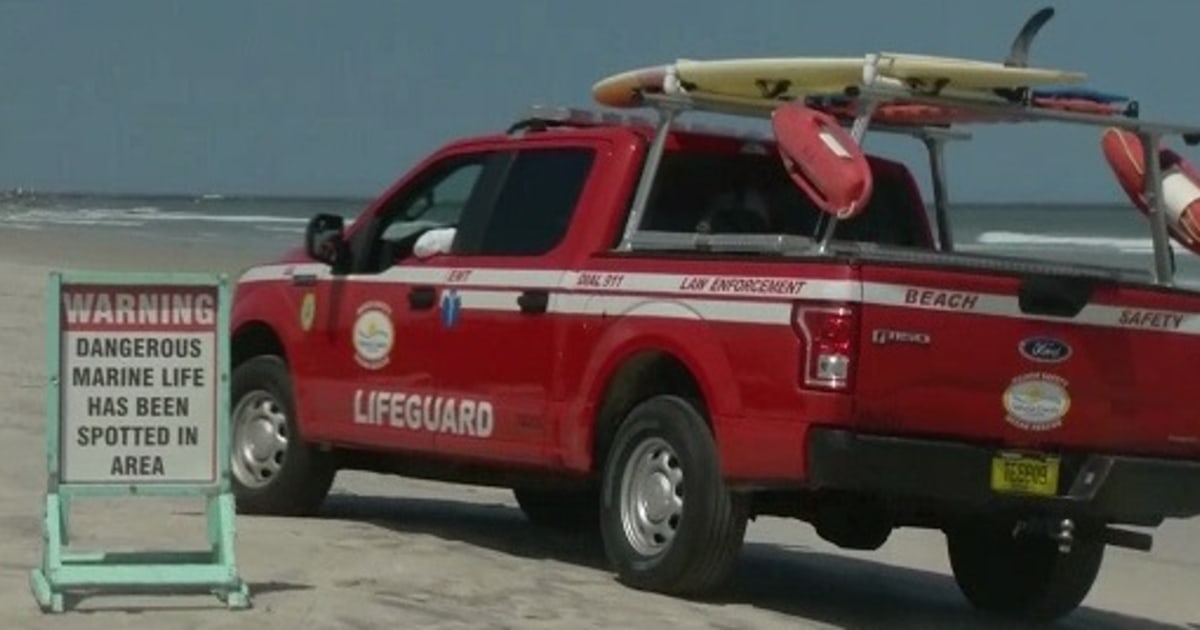 Three Shark Bites in Three Hours Confirmed at Florida's New Smyrna Beach